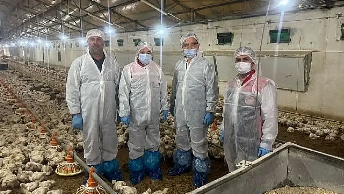Ülke ekonomisine katkı sağlıyorlar