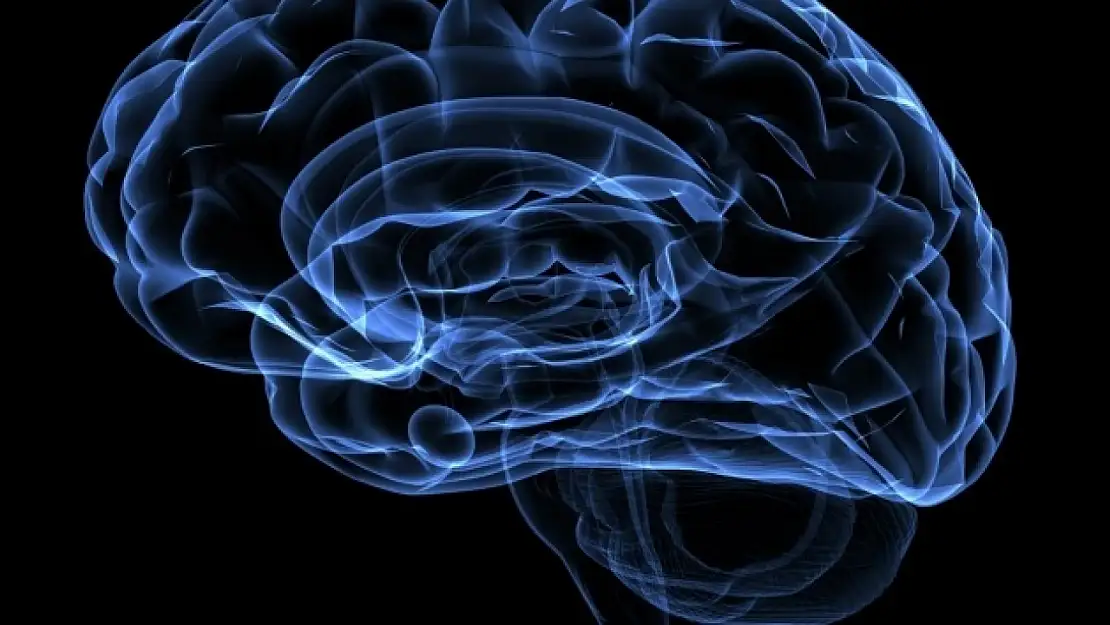 Uyurken beyninizde neler oluyor? Glimfatik sistem gerçeği
