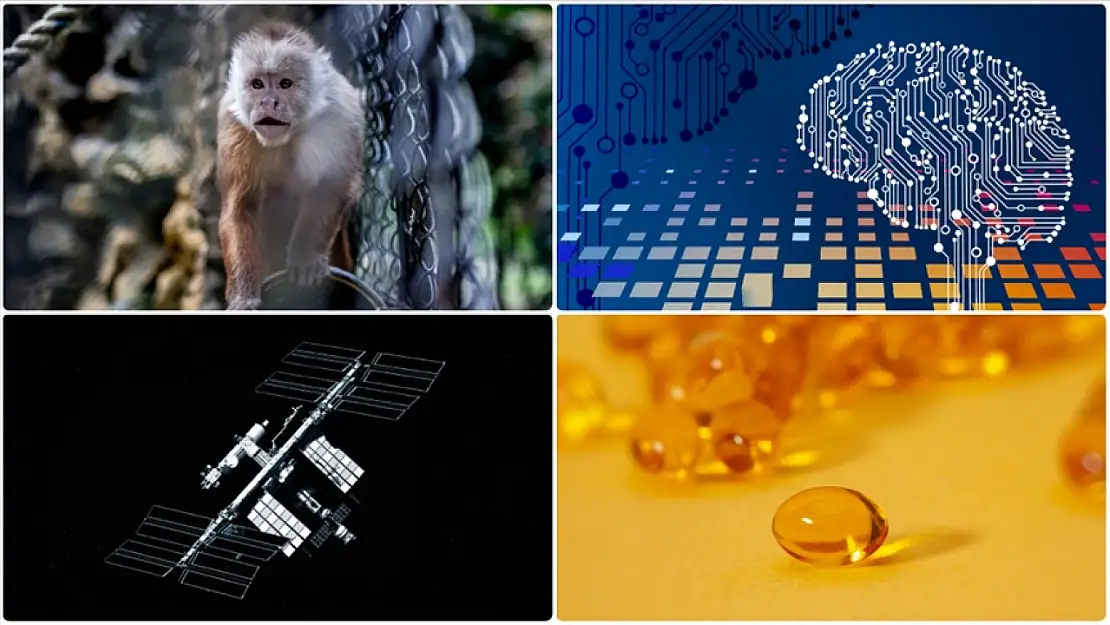 Uzay istasyonunda bulunan mikrop dünya dışı yaşam için ipucu mu?