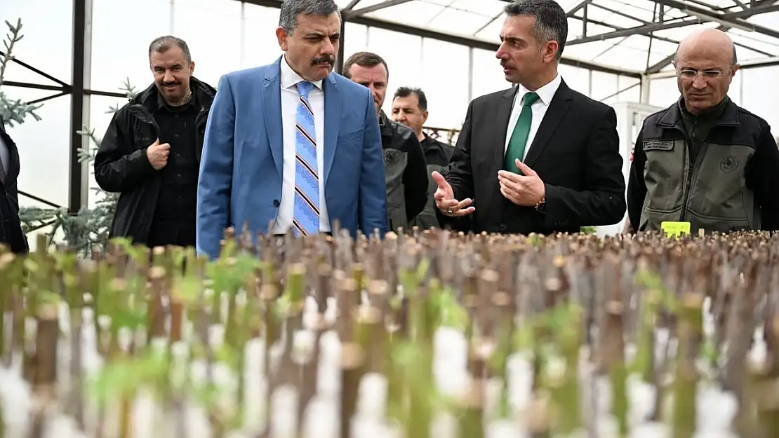 Vali Çiftçi, Erzurum'da ağaçlandırma ve fidan üretim süreçlerini inceledi