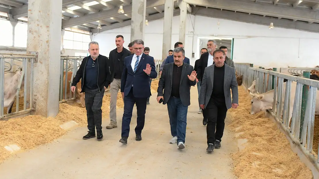 Vali Ozan Balcı, Düve Üretim Merkezi Alanında İncelemelerde Bulundu
