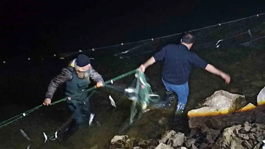 Van'da 5 ton 650 kilo inci kefali ele geçirildi