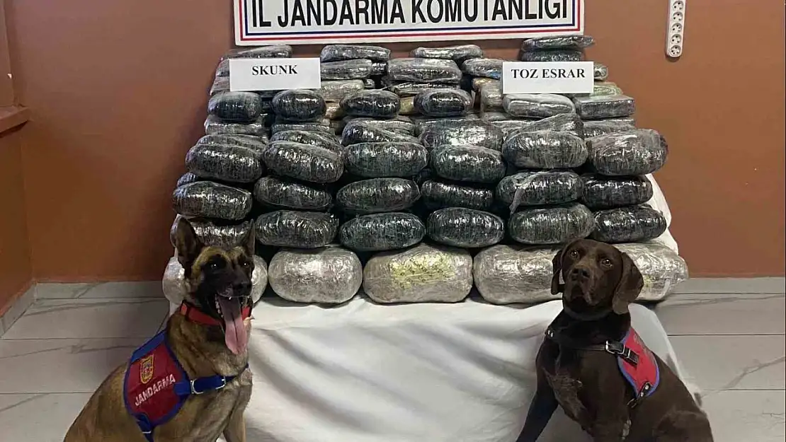 Van'da 90 Kilogram Uyuşturucu Madde Yakalandı