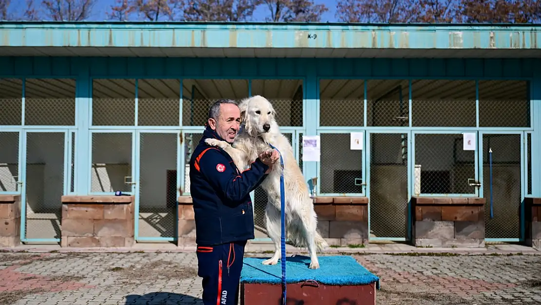 Van'da arama kurtarma kahramanı 'Poyraz' emekliliğini AFAD yerleşkesinde geçirecek