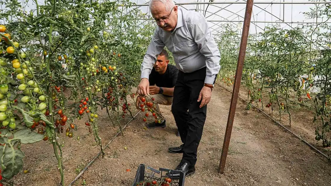 Van'da Geleneksel Tohumlarla Tarımda Hasat Sevinci