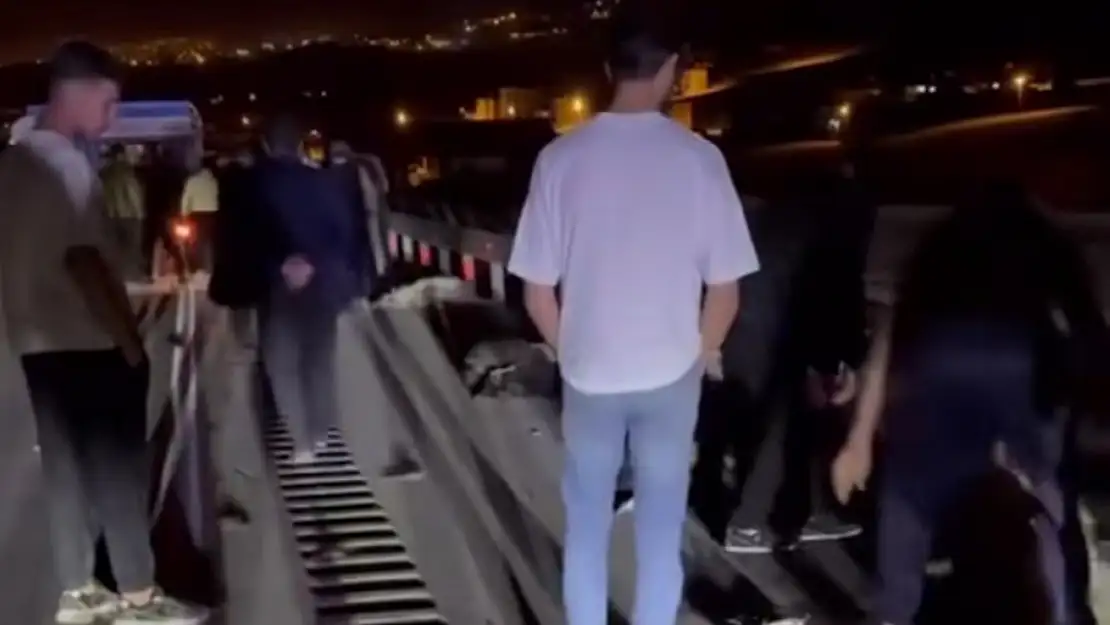 Van'da Hafif Ticari Araç Sürüyü Ezdi, 8 Koyun Hayatını Kaybetti