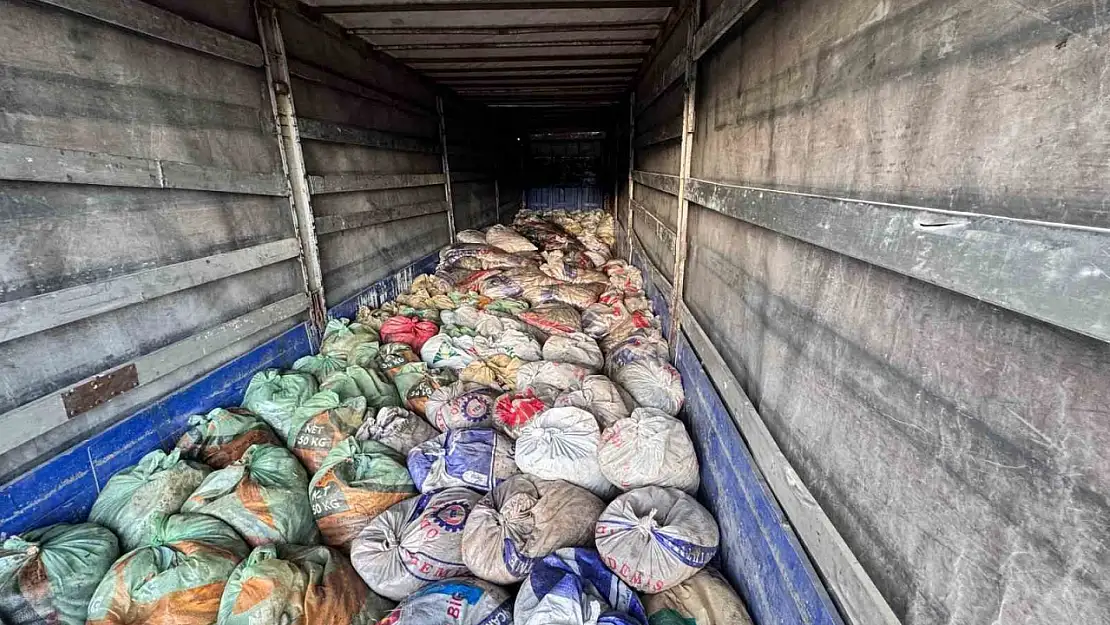 Van'da Jandarma, 16 kaçak avcılık olayında 22 ton inci kefali ele geçirdi