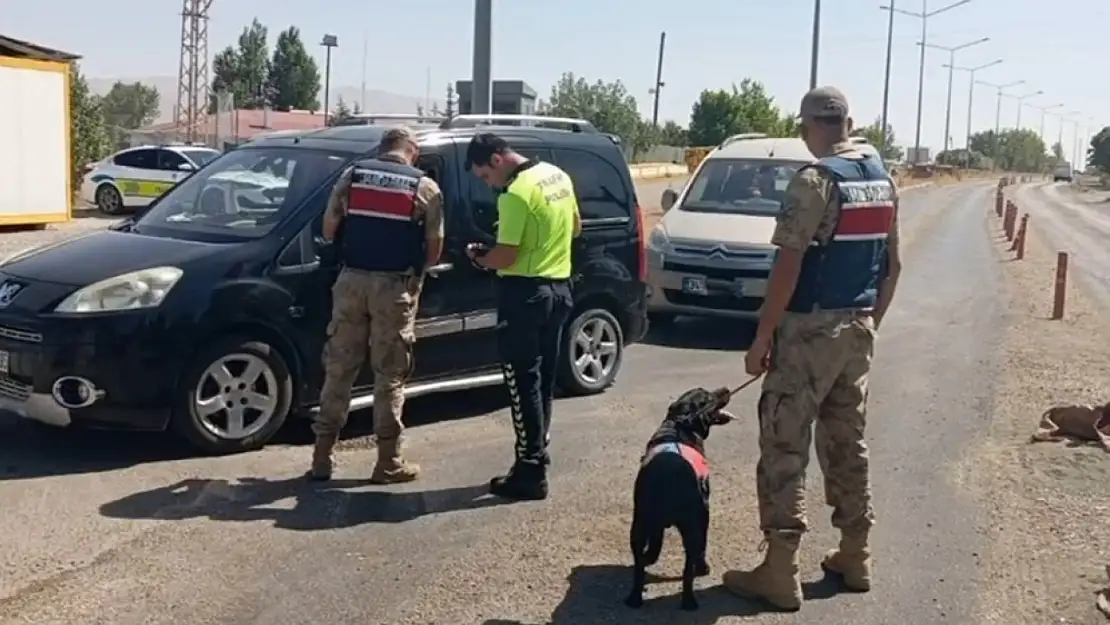 Van'da Jandarmadan Operasyon: 20 Suçlu Tutuklandı