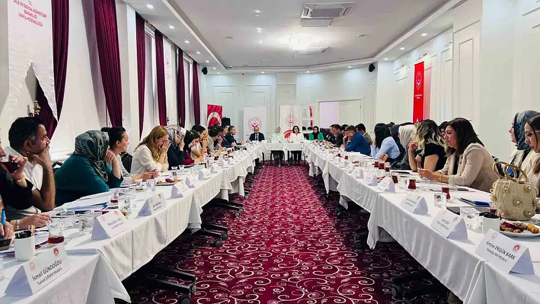 Van'da Kadın Hizmetleri İstişare Toplantısı, Şiddetle Mücadele Eylem Planı'na Yön Verecek