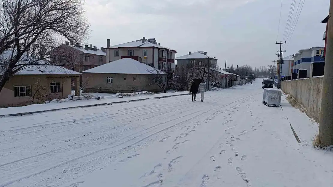 Van'da kar, sis ve buzlanma etkili oldu