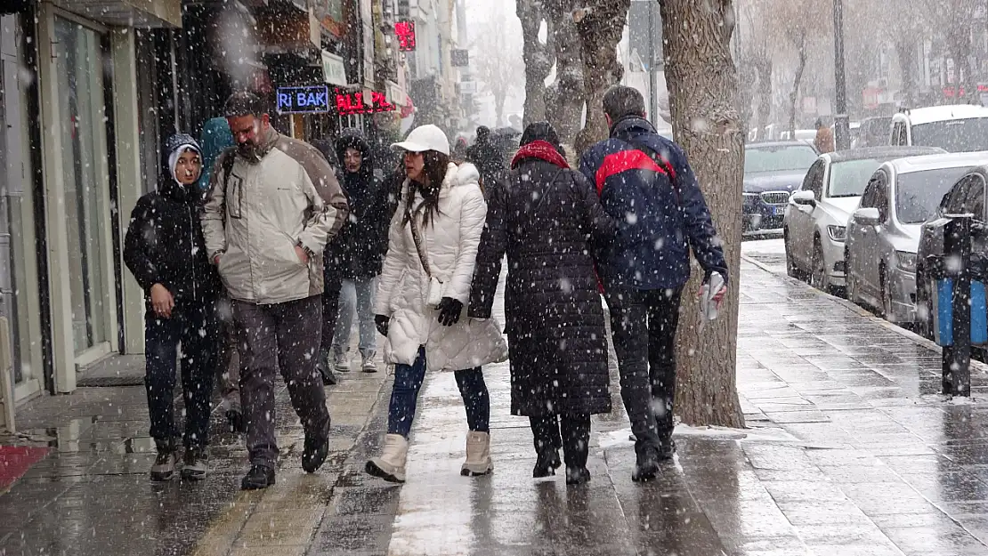 Van'da kar yağışı hayatı olumsuz etkiledi