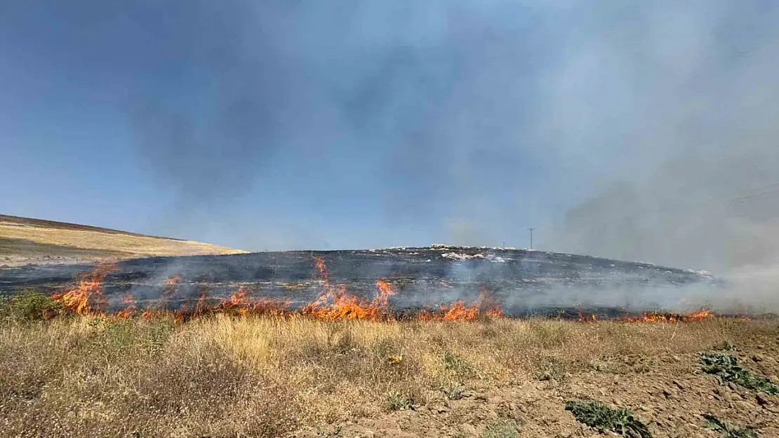 Van'da Kuru Ot Yangını: Yüzlerce Dönüm Arazi Yok Oldu