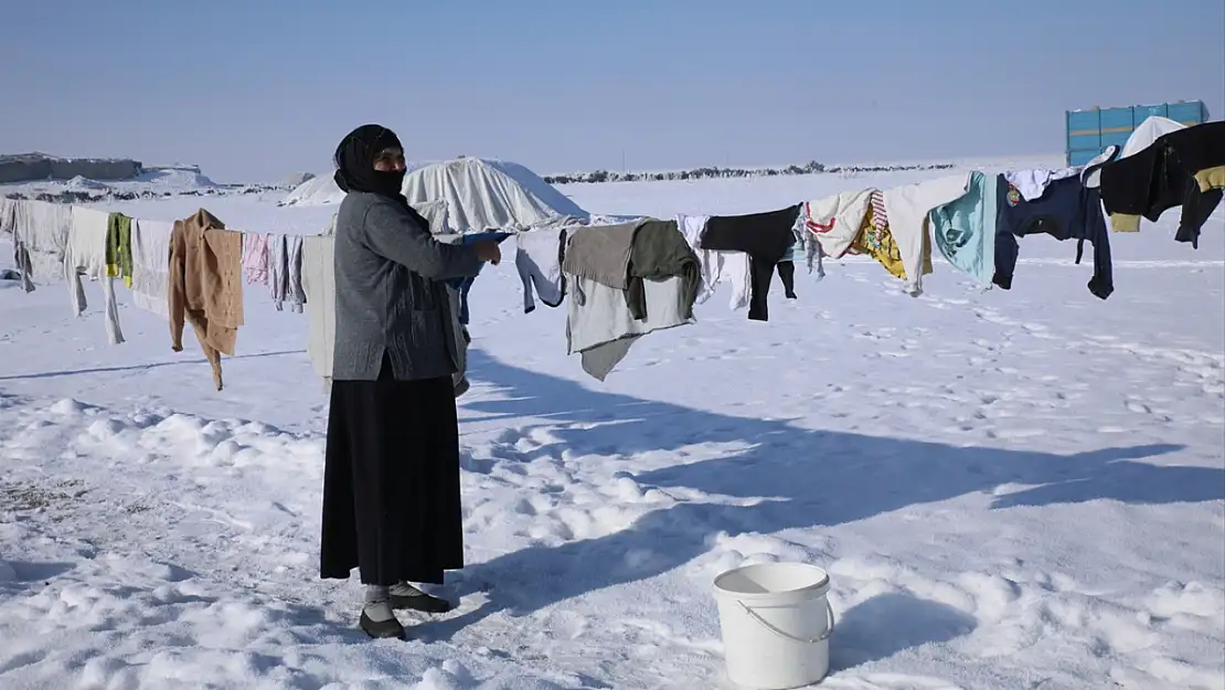 Van'da kutupları aratmayan yaşam