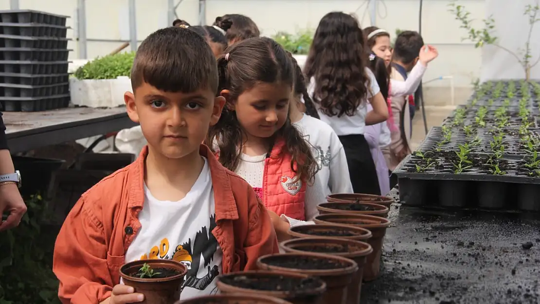 Van'da Minik Öğrenciler Seralarda Doğayla Tanıştı