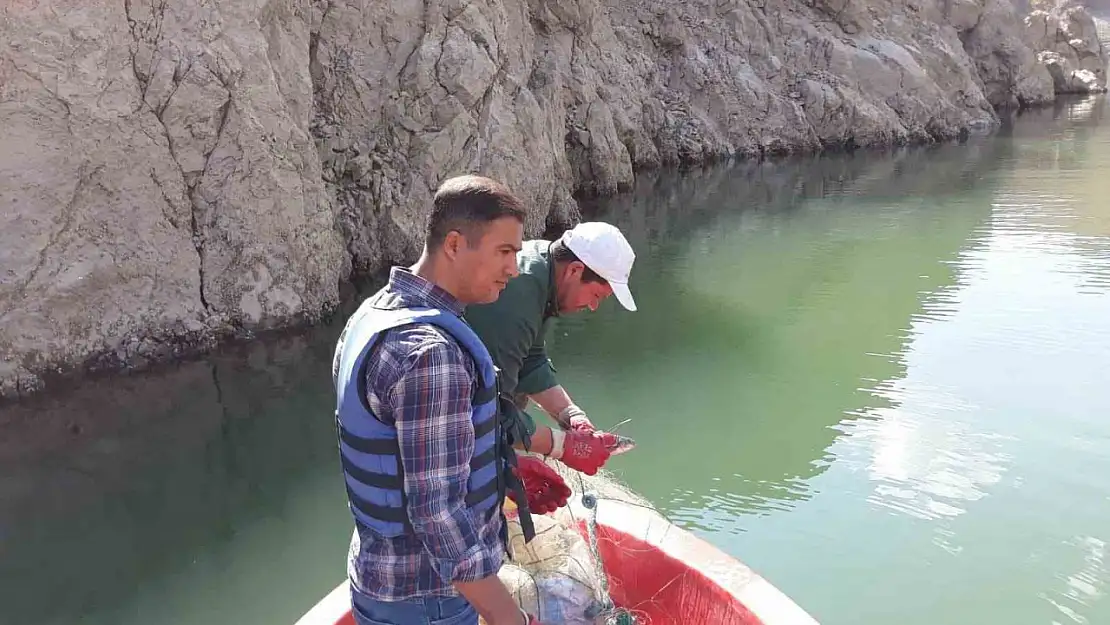 Van'da Sazangillerin Av Yasağı Sona Erdi, Kaçak Avcılara Cezalar Uygulandı