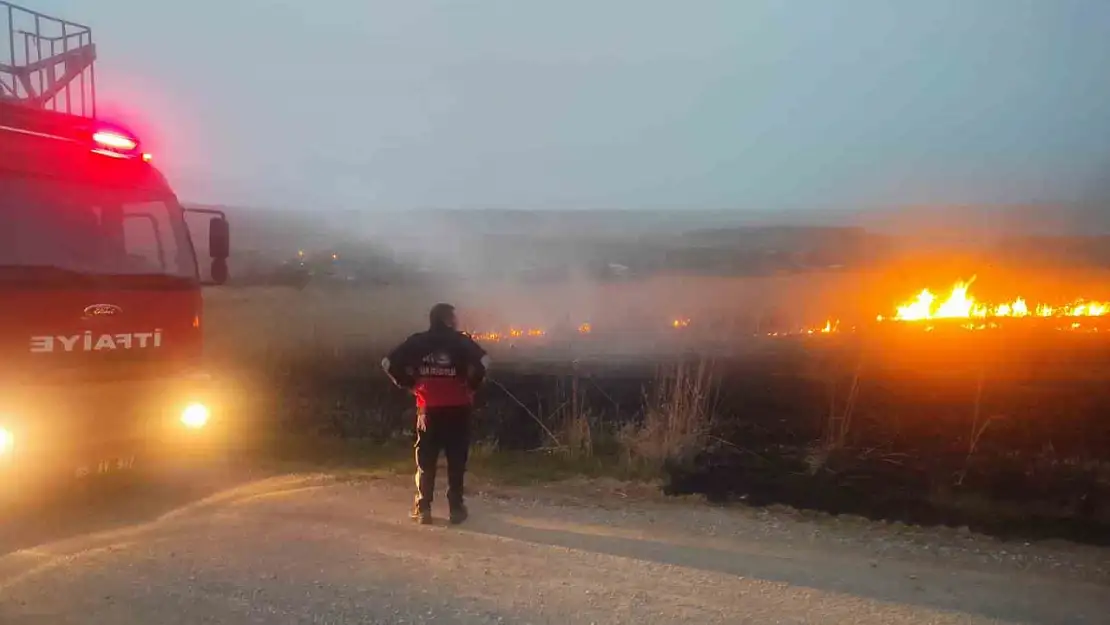 Van'da sazlık alanda yangın