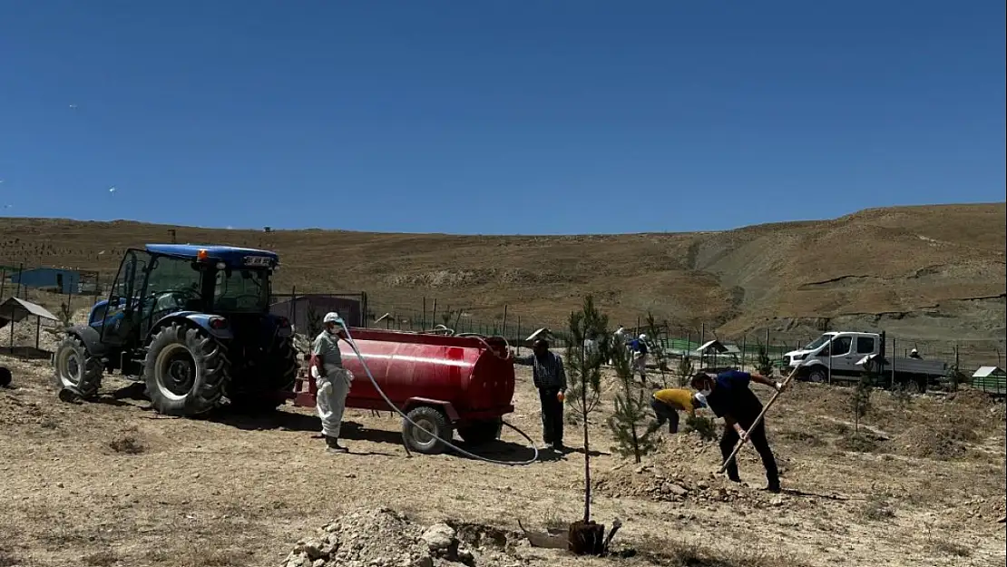 Van'da Sokak Hayvanları için 250 Dönümlük Doğal Yaşam Alanı Kuruldu