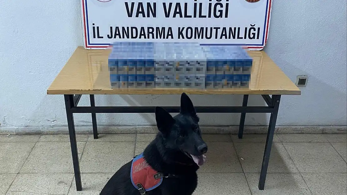 Van'da Yasadışı Sigara ve Elektronik Eşya Operasyonu: Büyük Miktarda Kaçak Malzeme Yakalandı