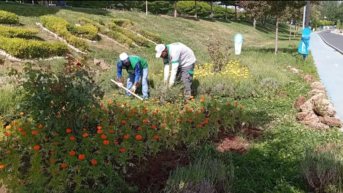 Van Edremit Belediyesi'nden Estetik Peyzaj Düzenlemeleri ile Doğayla İç İçe Yaşam Alanları