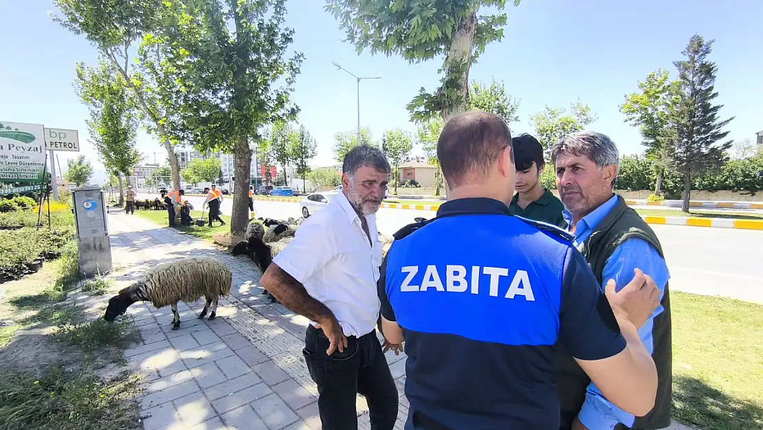Van Edremit'te Kurban Bayramı Denetimleri ile Çevre Koruma Öncelikli Hedef