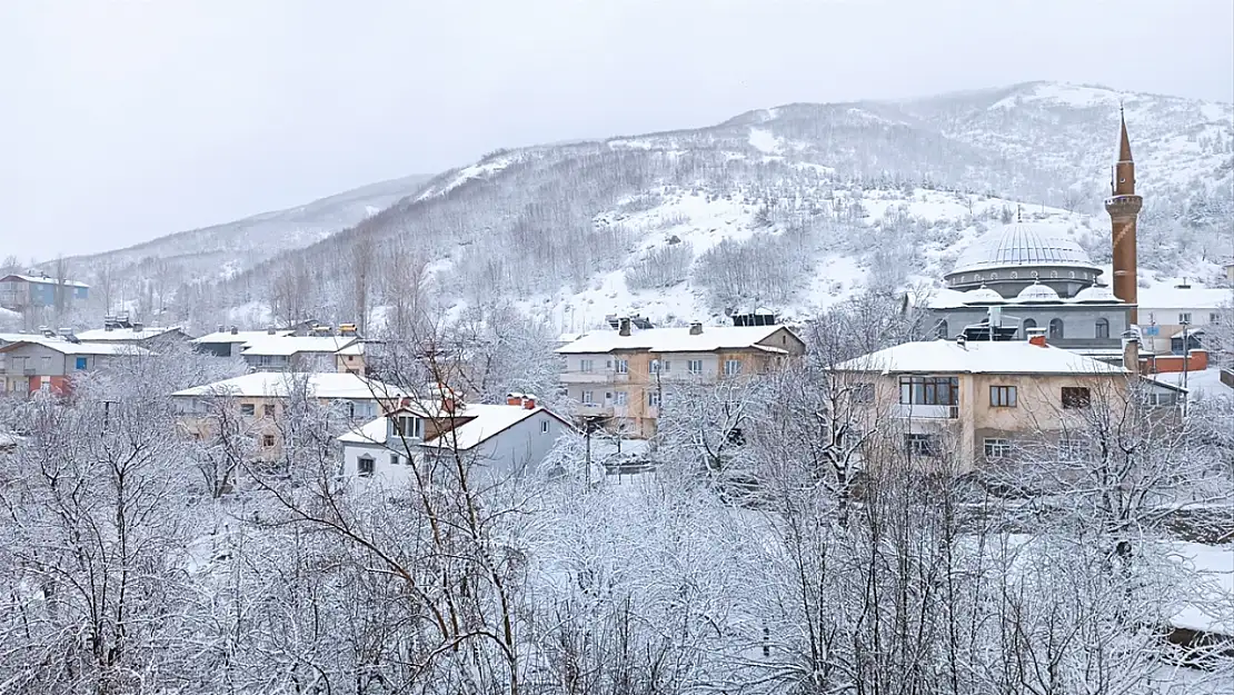 Van, Muş ve Bitlis'te 230 yerleşim yerine ulaşım sağlanamıyor