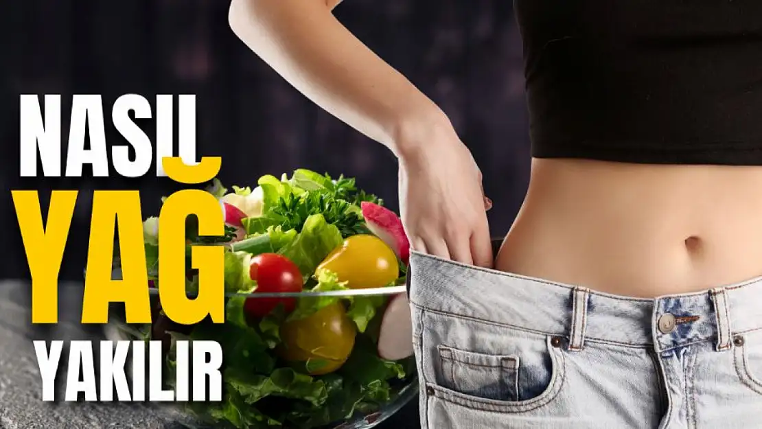 'Yağ Yakımında Bilimsel Yöntemler: Uzmanların Tavsiyeleri'