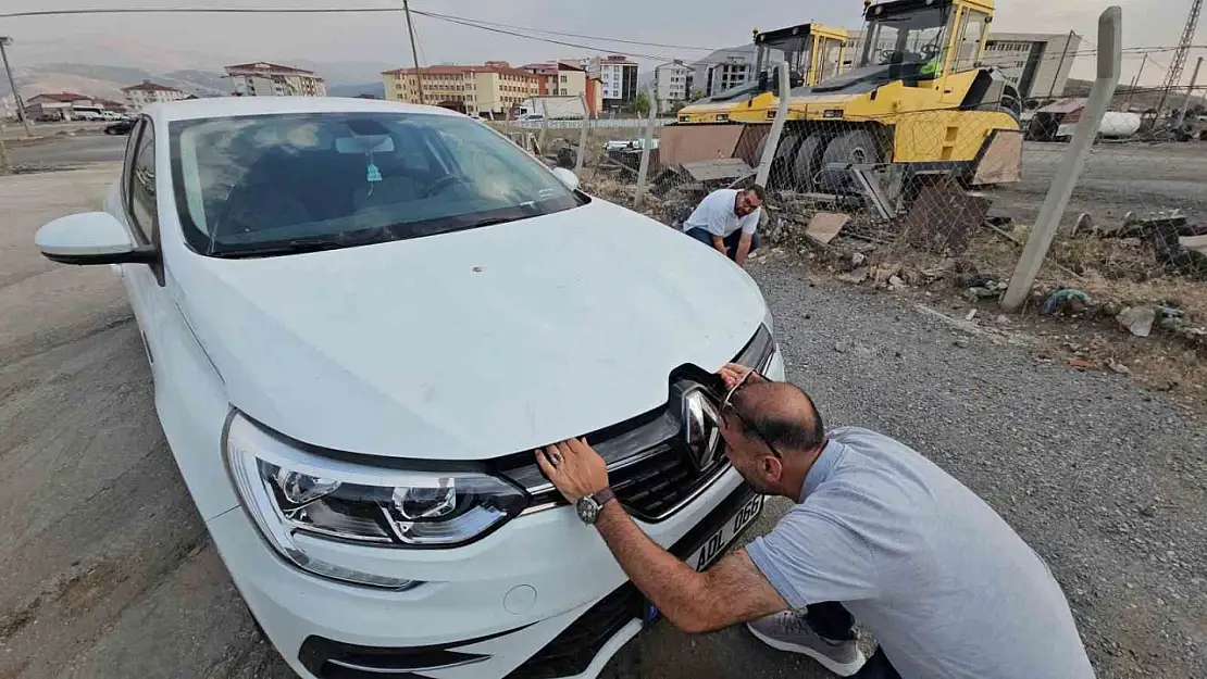 Yavru Kedi, Otomobilin Motor Bölmesinde Üç Şehir Turu Attı