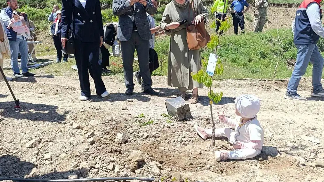 Yeni Doğan Bebekler İçin Hatıra Ormanına İlk Fidanlar Dikildi