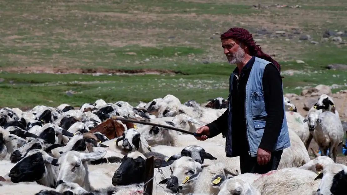 Yetiştiricilere 127,7 Milyon TL'lik Kredi Desteği Sunuldu