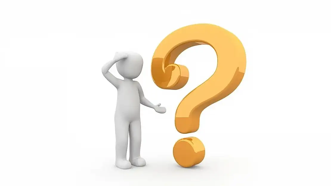 Ziza Ne Demek? Ziza Adı Anlamı Nedir?