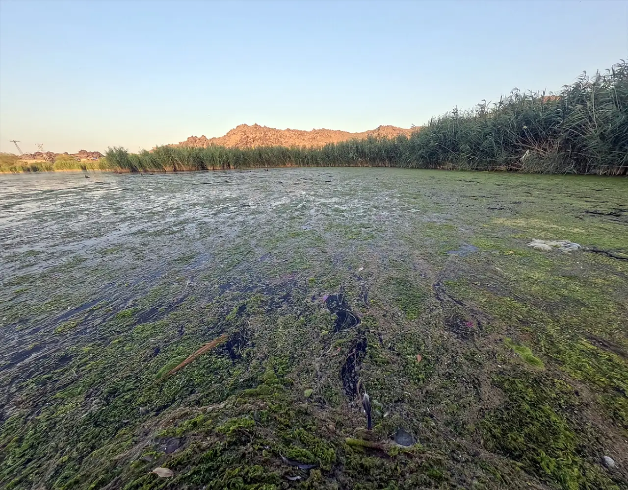 Ağrı Dağı buzulları eriyor, Karasu kuruyor