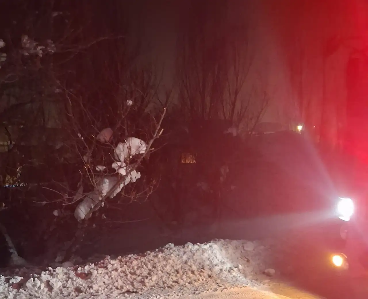 Ağrı'da müstakil ev yangını: Facia son anda önledi