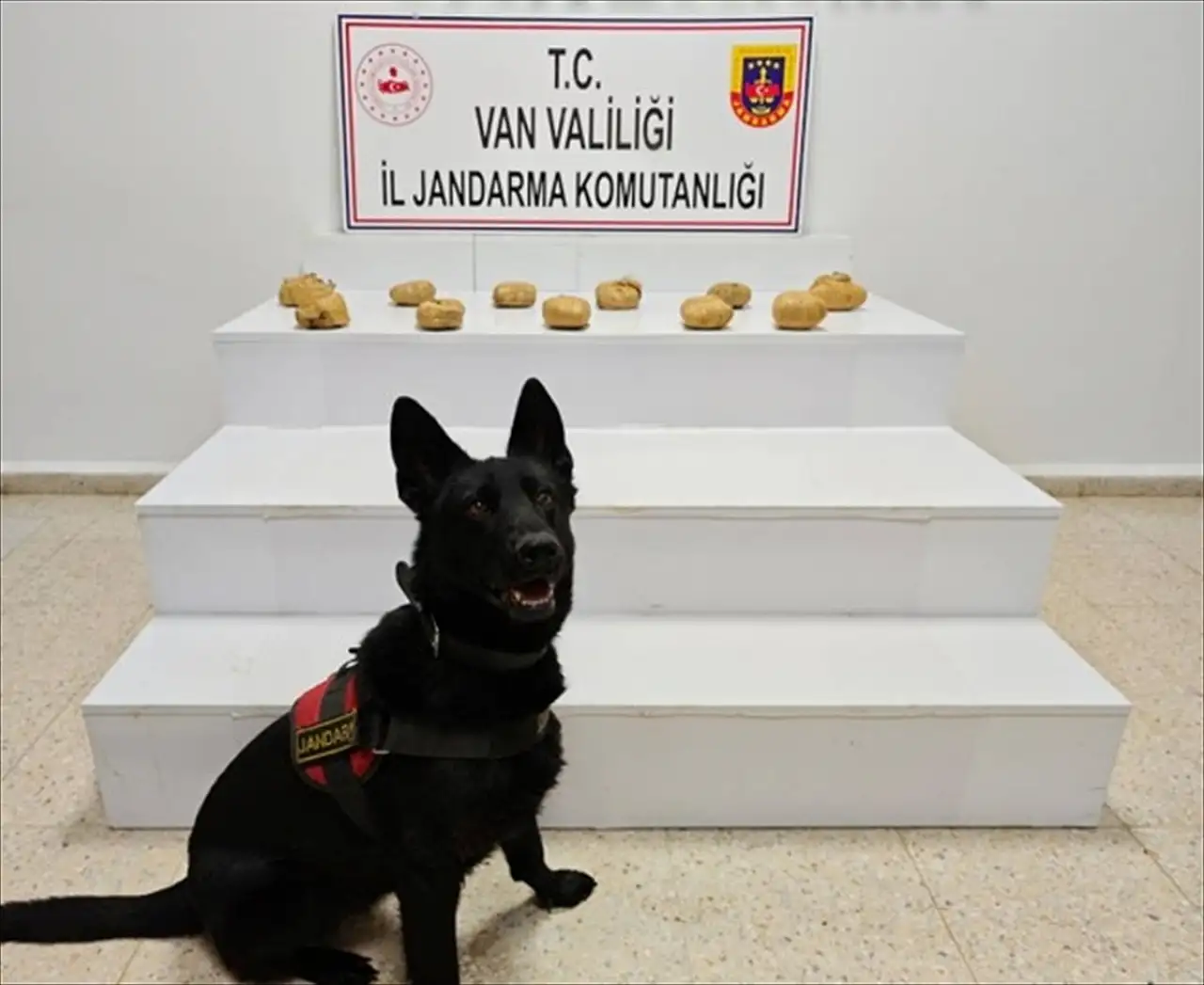 Van'da jandarmadan uyuşturucu operasyonu: Yaklaşık 12 kilo esrar ele geçirildi