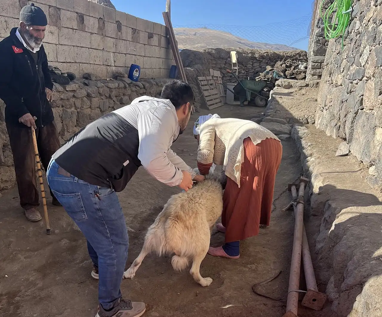 Son tarih yaklaşıyor: Mikroçip uygulamasında Doğubayazıt'ta yoğun mesai