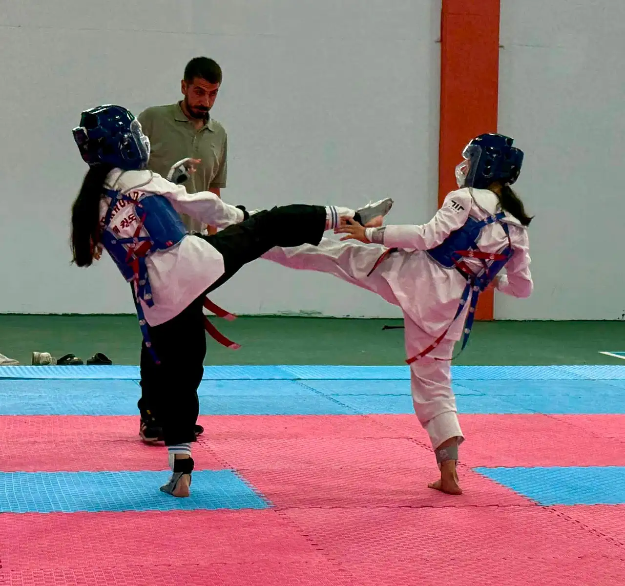 Ağrı'da 15 Temmuz Taekwondo Turnuvası tamamlandı