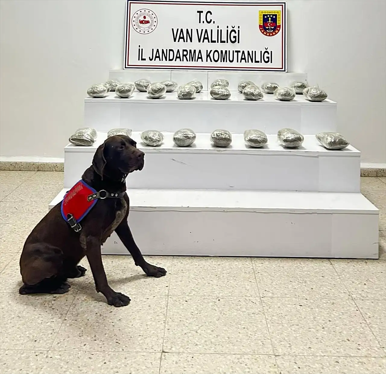 Van'da jandarmadan uyuşturucu operasyonu: 10 kilo esrar ele geçirildi!