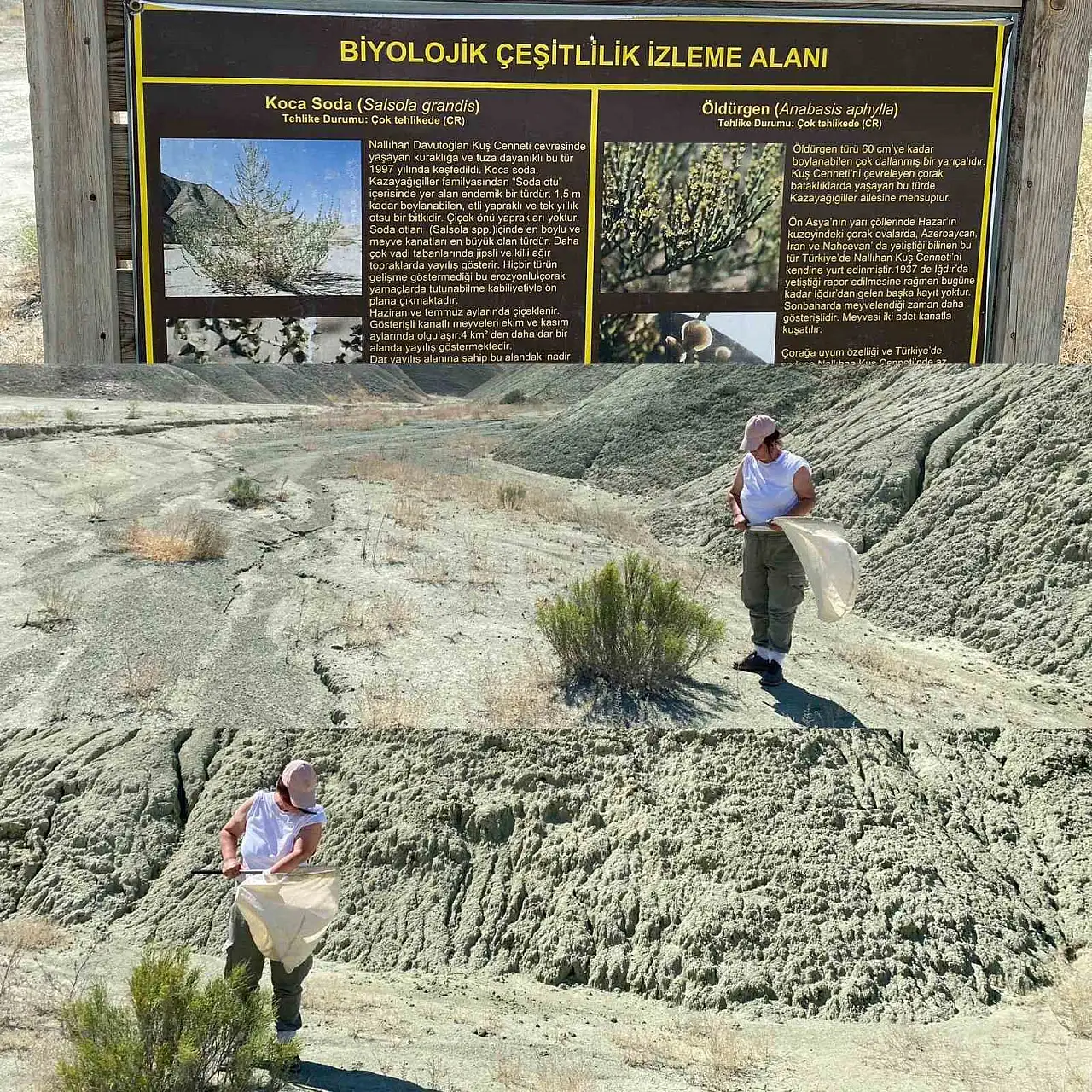 Atatürk Üniversitesi'nin Biyoçeşitlilik Projeleri, Uluslararası Başarı Elde Etti