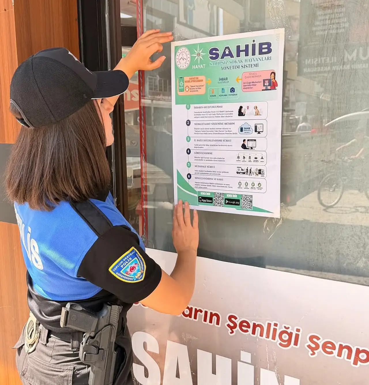 Ağrı'da sahipsiz sokak hayvanları için yeni ihbar dönemi