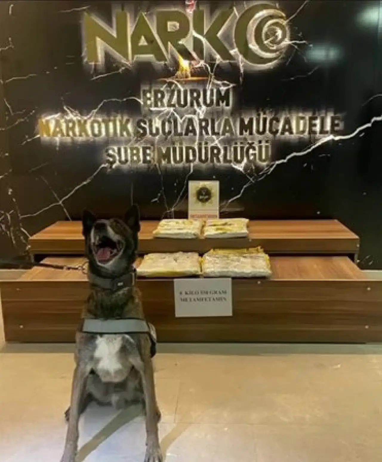 Erzurum'da Narkotik Köpeği Magnum ile 8.5 Kilogram Uyuşturucu Ele Geçirildi