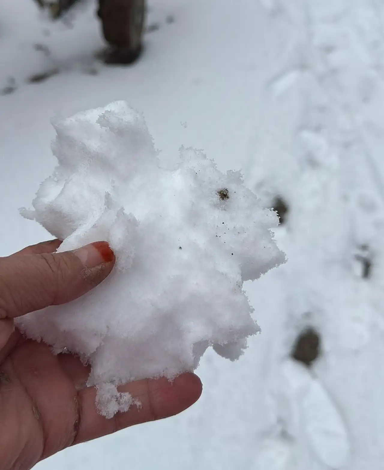 Ağrı'da kar yağışı kent merkezini beyaza bürüdü