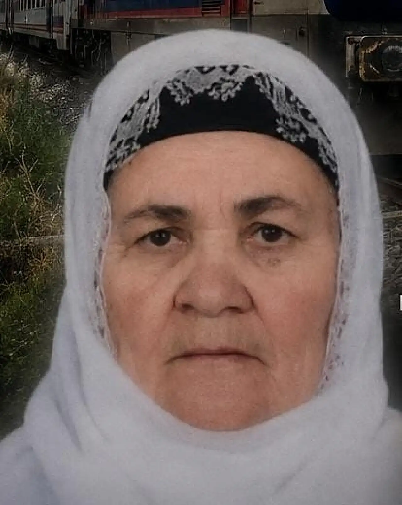 Tatvan'da yük treninin çarptığı kadın yaşamını yitirdi
