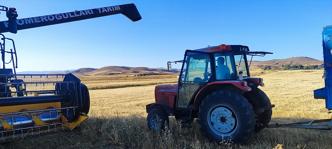 Ağrı'da yüksek rakımda çörek otu denemesi rekor verimle sonuçlandı