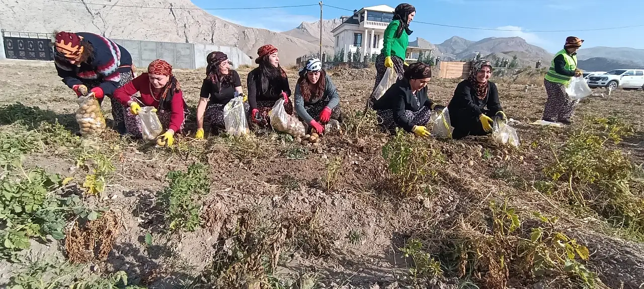 Doğubayazıt'ta tarladan sofraya dayanışma başladı
