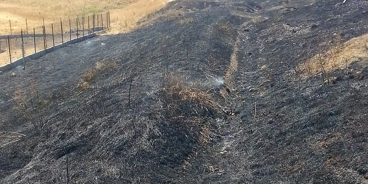 Ağrı'da sarı renkli anızlar siyaha döndü