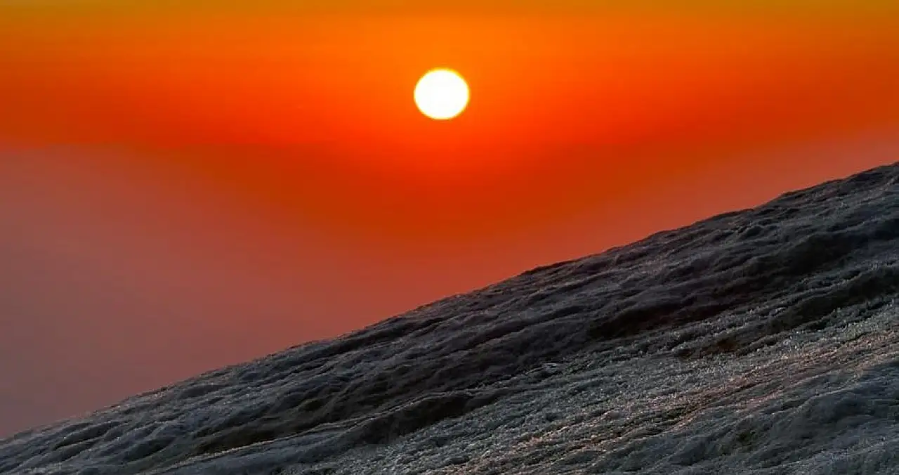 Ağrı Dağı'nın Kuzey Rotasında Donmuş Geyik Bulundu
