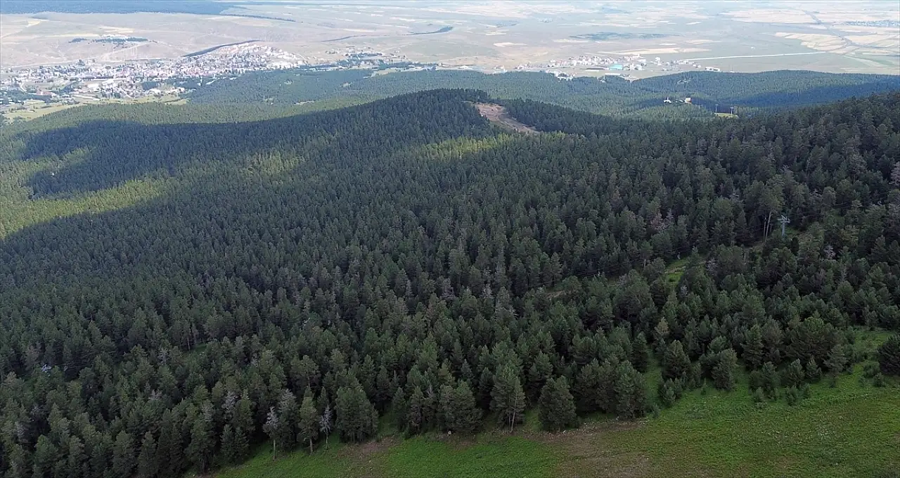 Ağrı dahil 6 ilde 655 bin hektarlık orman için 'alev nöbeti'