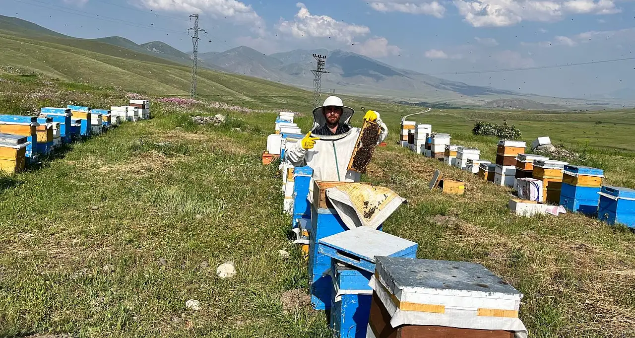 Doğubayazıt'ın yüksek rakımlı yaylalarında bal hasadı başladı