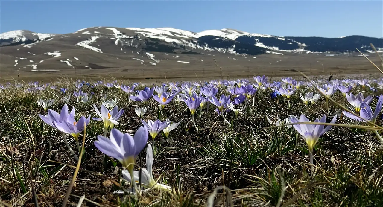 Kars Acısu ve İznos'ta kartpostallık manzaralar