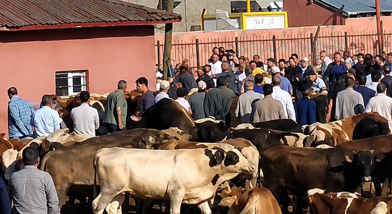 Ağrı Hayvan Pazarı'nda kavga! Taşlar ve sopalar havada uçuştu