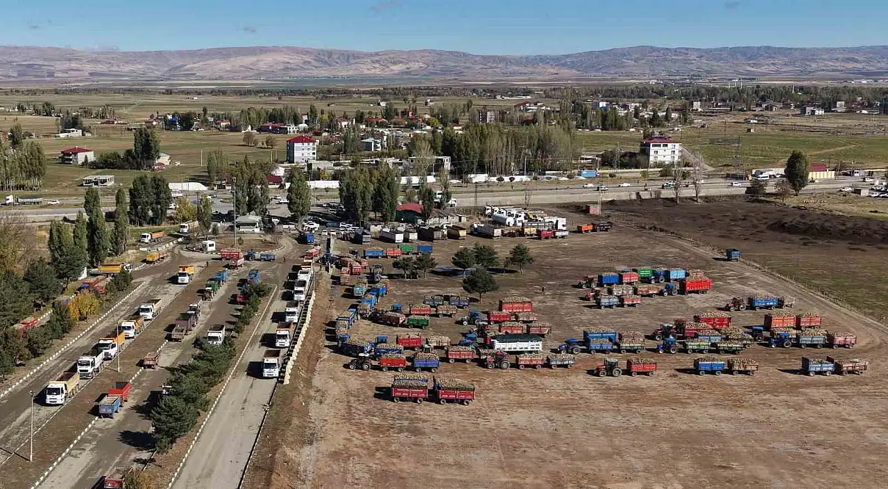 Muş'ta Şeker Pancarı Hasadı Başladı, Ekonomiye 1.7 Milyar TL Katkı Bekleniyor